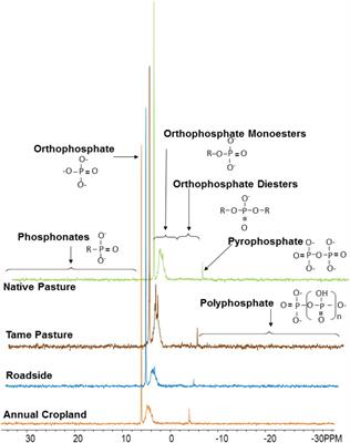 Long-Term Land Use Affects Phosphorus Speciation and the Composition of Phosphorus Cycling Genes in Agricultural Soils